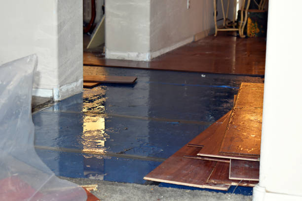 Professional Flood Cleanup technician working in Marshallberg, NC